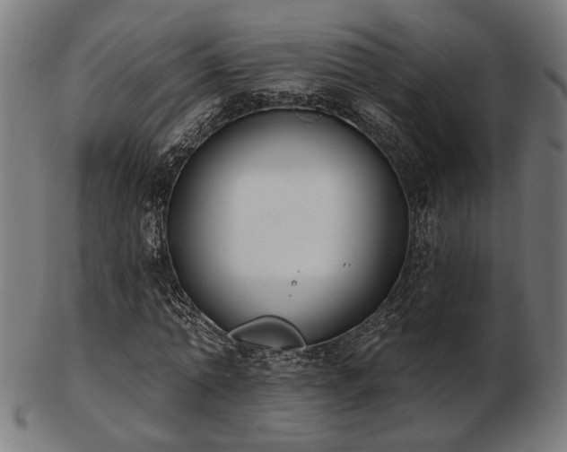 X0000103420774200809121306