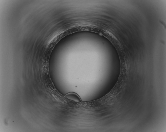 X0000103420775200809121306