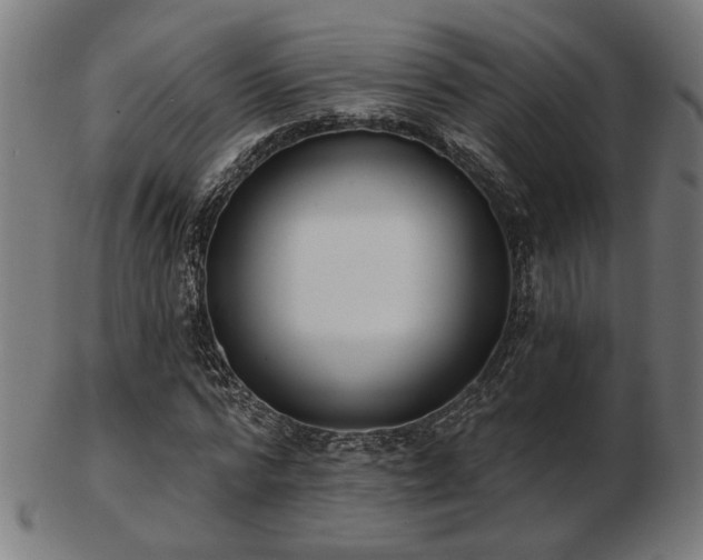 X0000103420776200809121306
