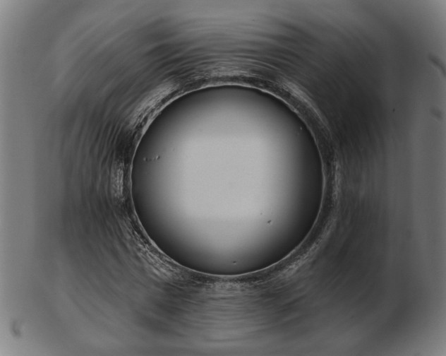 X0000103420777200809121306