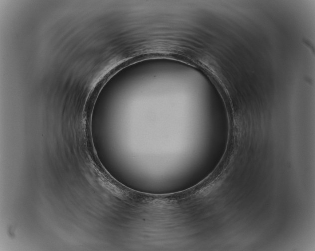 X0000103420779200809121306