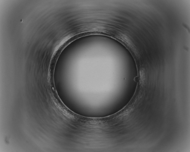 X0000103420780200809121306