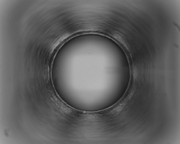 X0000103420781200809121306