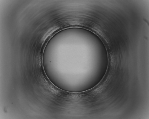 X0000103420782200809121306