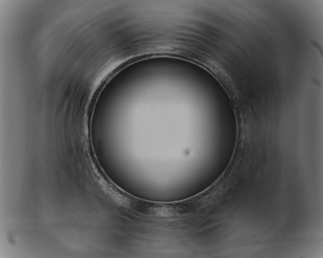 X0000103420792200809121306