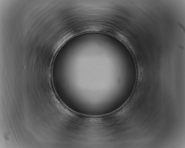 X0000103420802200809121306