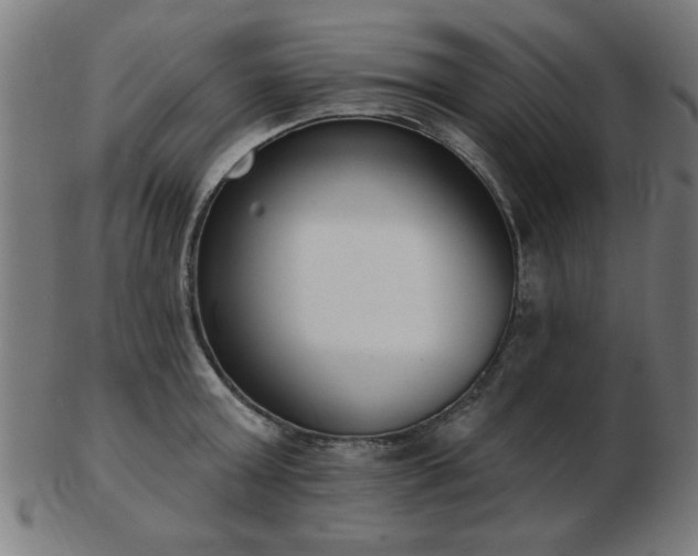 X0000103420803200809121306