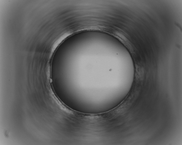 X0000103420804200809121306