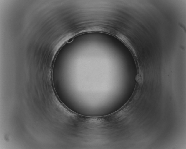 X0000103420805200809121306