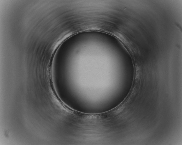 X0000103420806200809121306