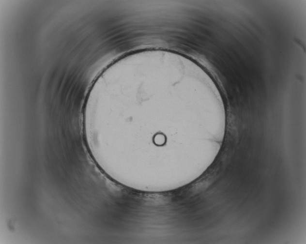 X0000103420807200809121306