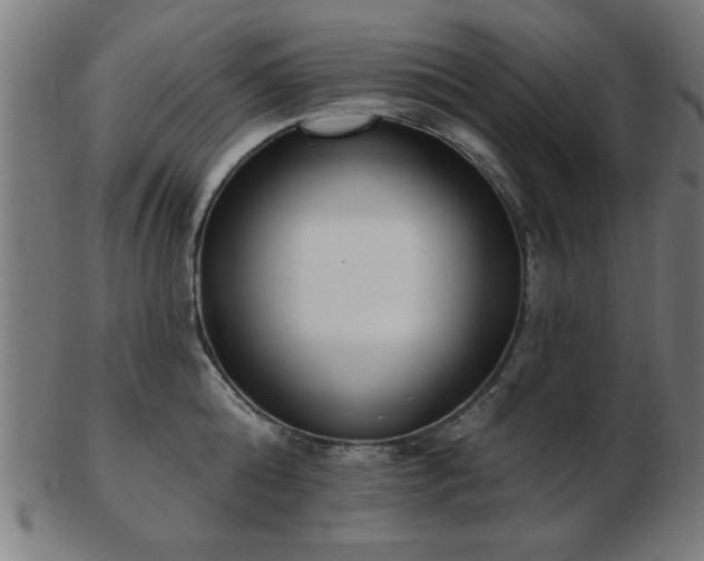 X0000103420808200809121306