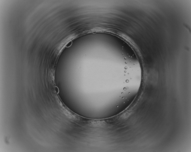 X0000103420809200809121306