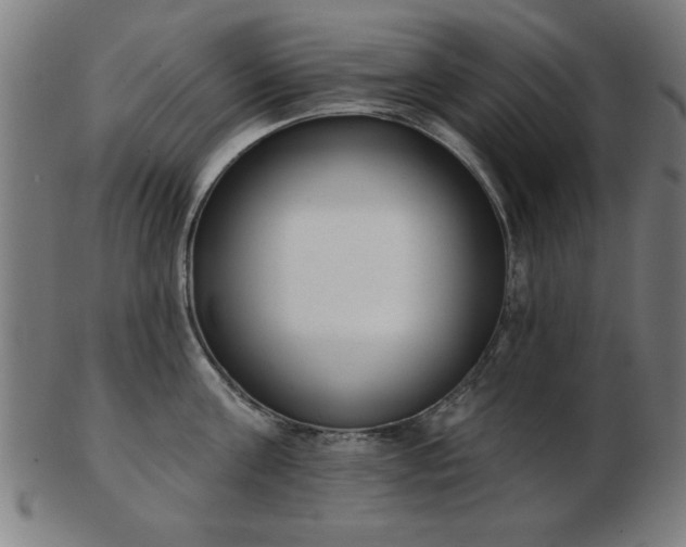 X0000103420811200809121306