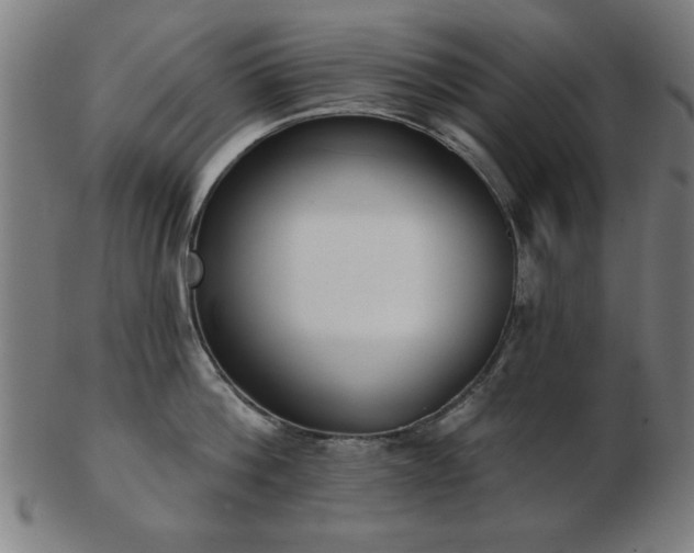 X0000103420812200809121306