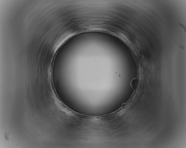 X0000103420814200809121305