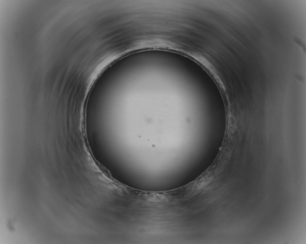 X0000103420815200809121305
