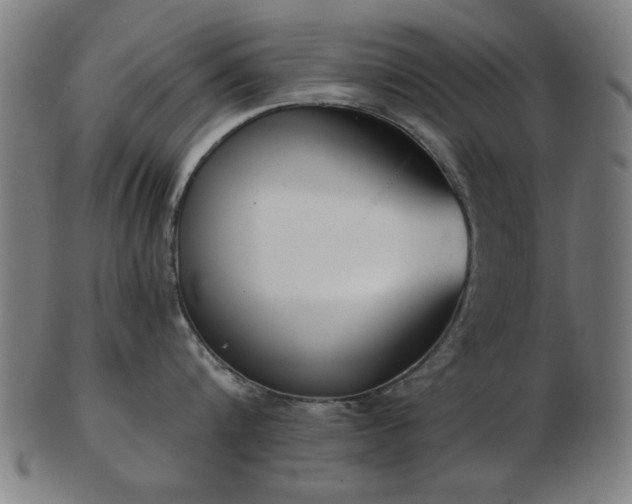 X0000103420816200809121305