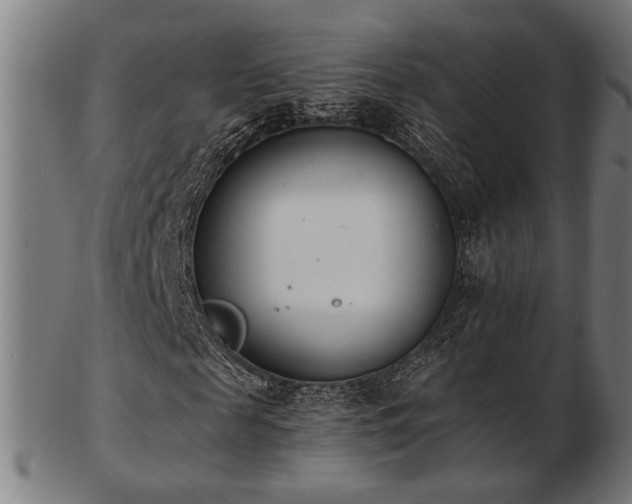 X0000103420817200809121305