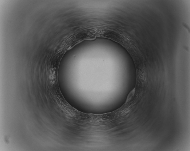 X0000103420818200809121305