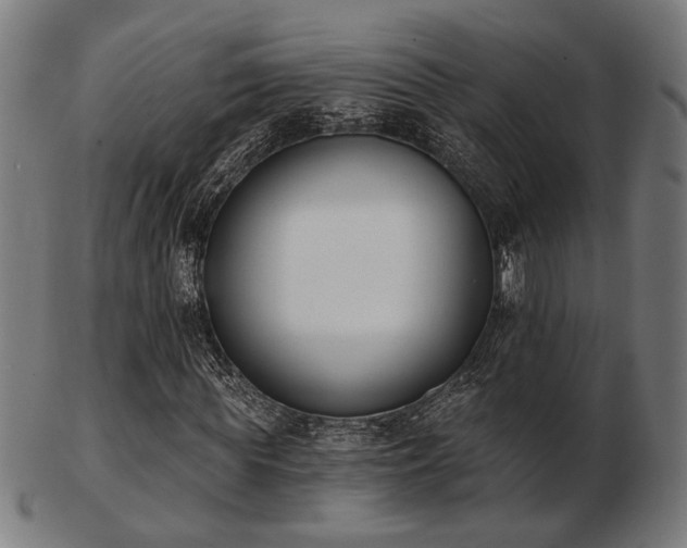 X0000103420819200809121305