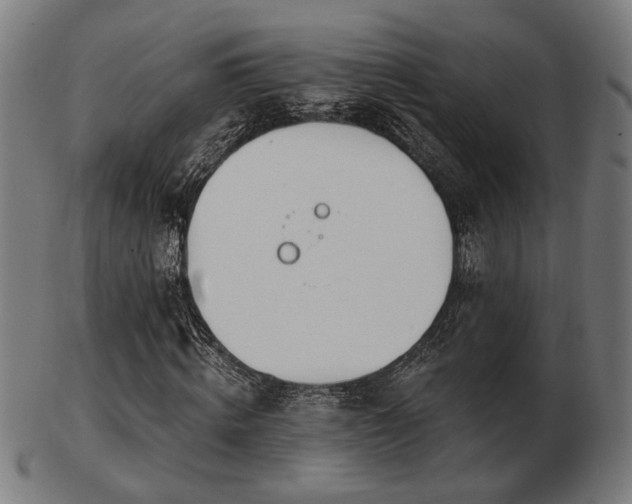 X0000103420820200809121305