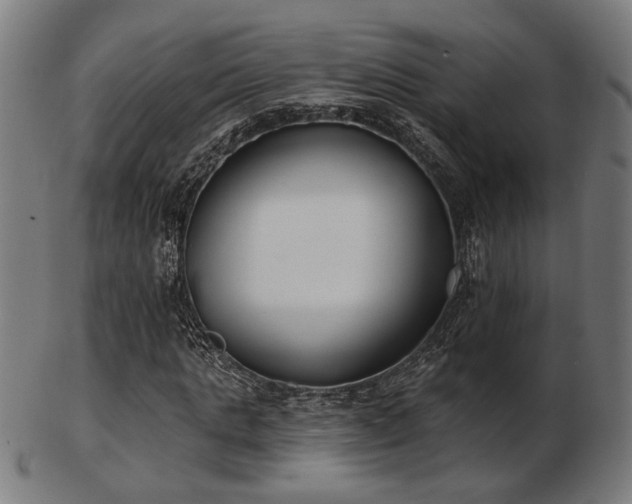 X0000103420821200809121305