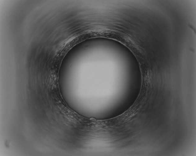 X0000103420822200809121305
