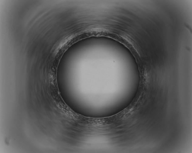 X0000103420823200809121305