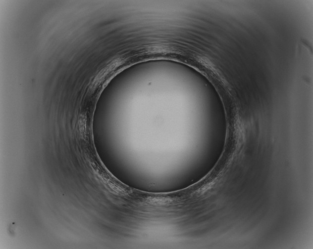 X0000103420825200809121305