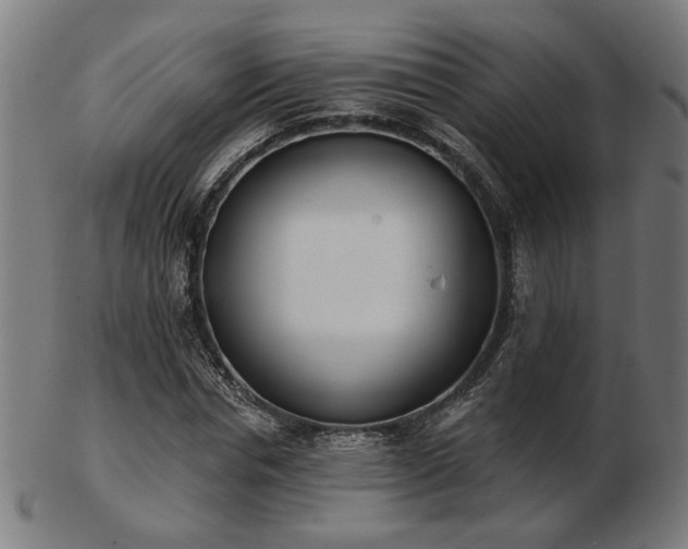 X0000103420826200809121305