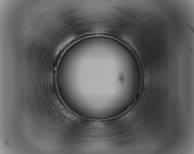 X0000103420827200809121305