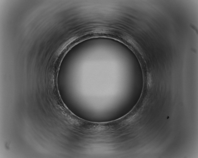 X0000103420829200809121305