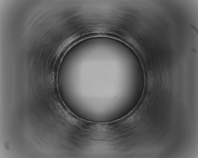 X0000103420831200809121305