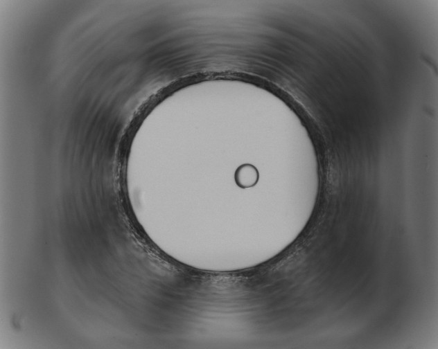 X0000103420832200809121305