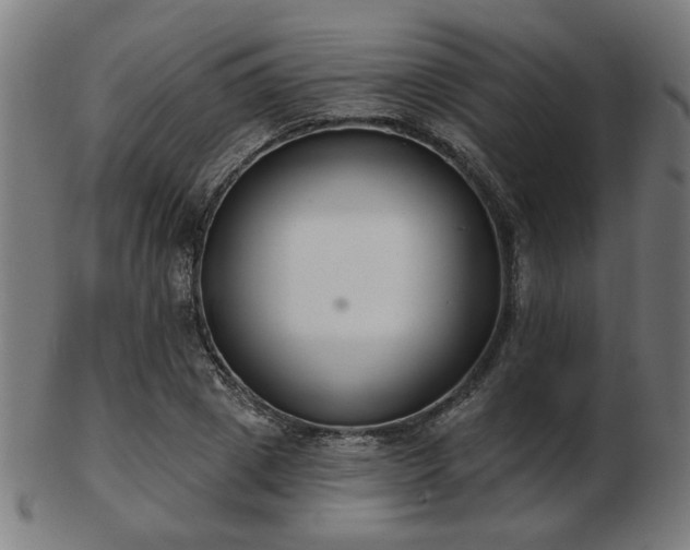 X0000103420833200809121305