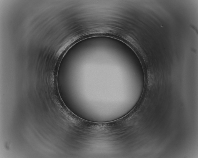 X0000103420834200809121305