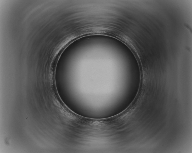 X0000103420835200809121305