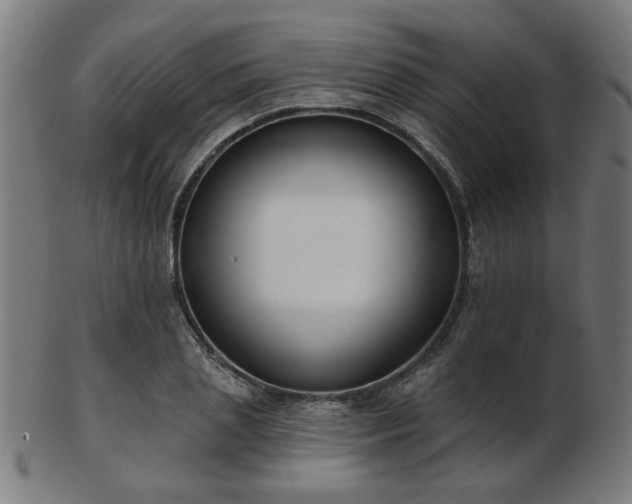 X0000103420837200809121305