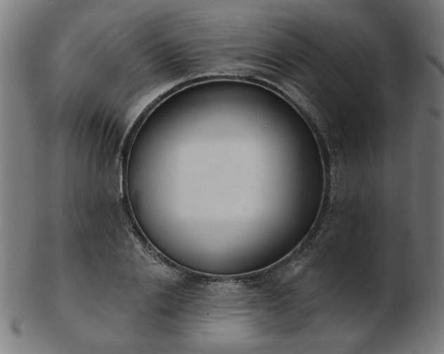 X0000103420838200809121305