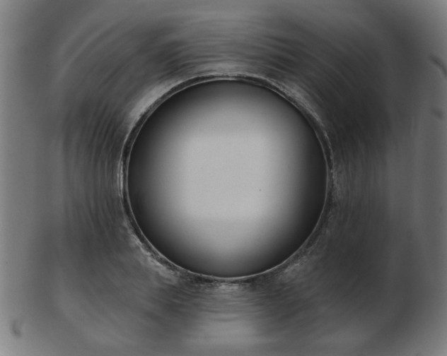 X0000103420839200809121305