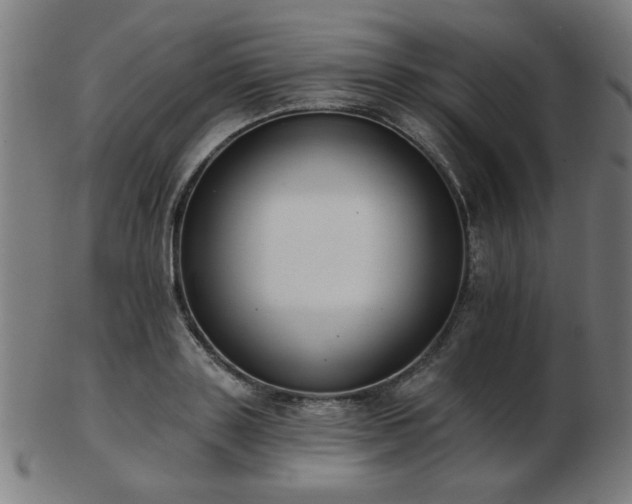 X0000103420843200809121305