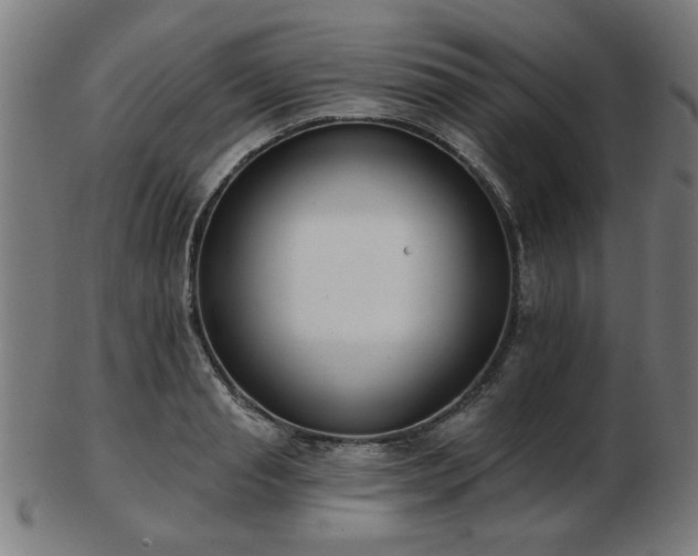 X0000103420845200809121305
