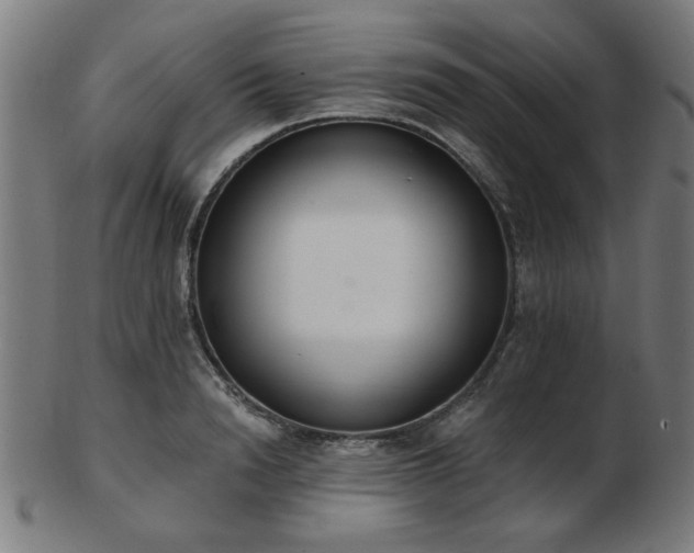 X0000103420846200809121305