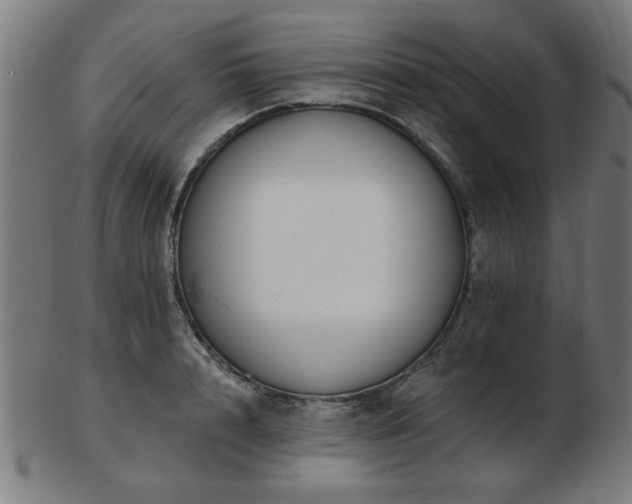 X0000103420848200809121305