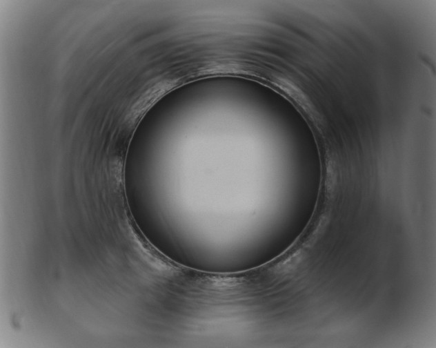 X0000103420849200809121305