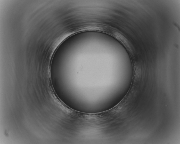 X0000103420852200809121305