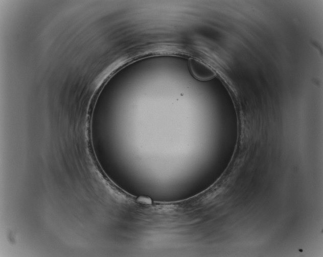 X0000103420853200809121305