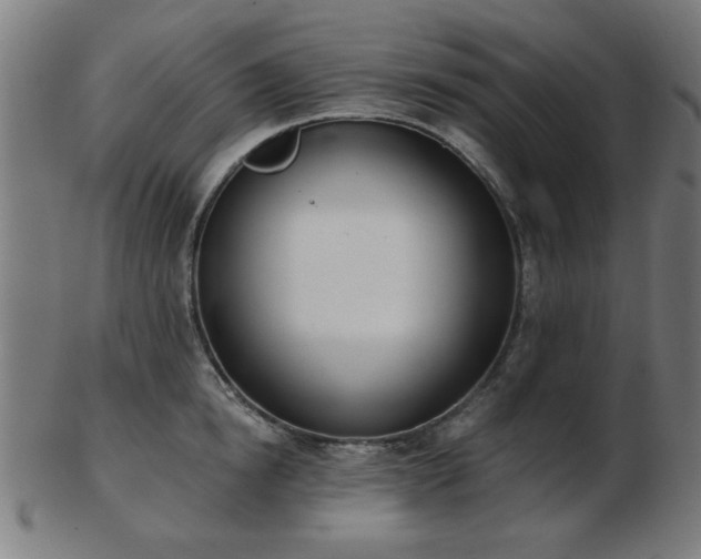 X0000103420854200809121305
