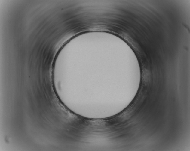 X0000103420856200809121305